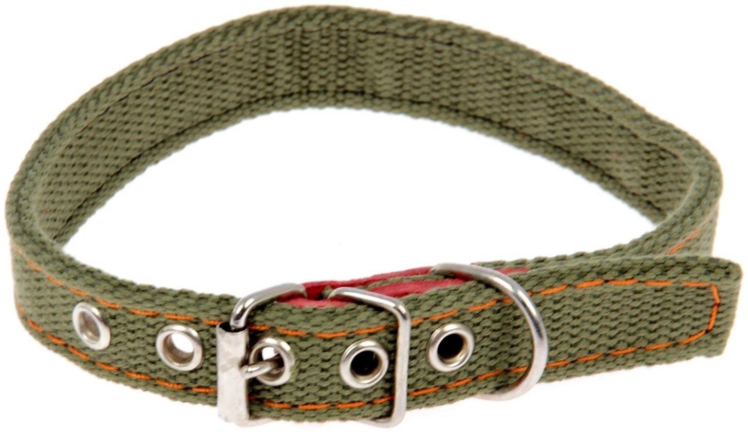 Ошейник брезентовый двухслойный, 50 х 2 см, ОШ 25-35 см, хаки
