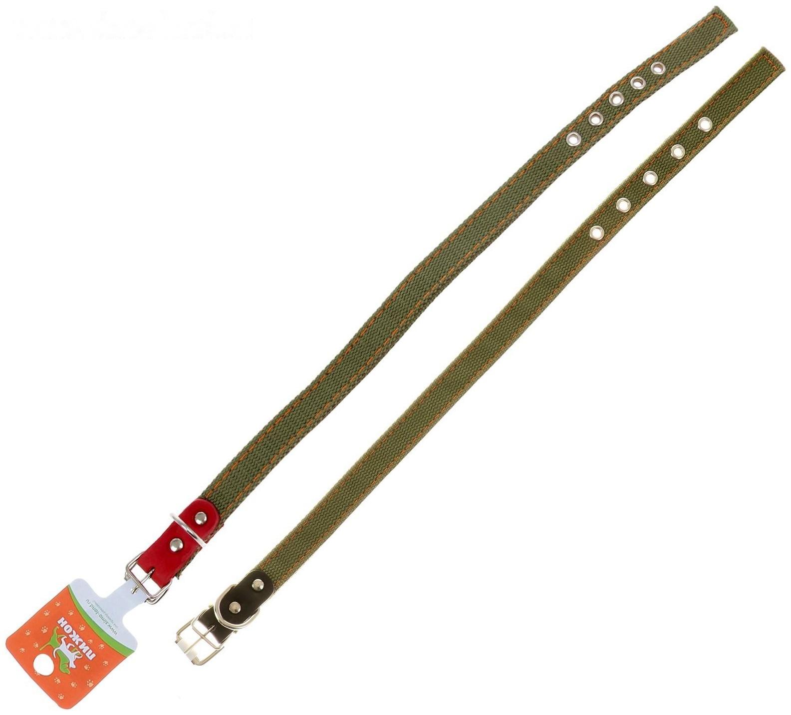 Ошейник брезентовый двухслойный, 50 х 2 см, ОШ 25-35 см, хаки