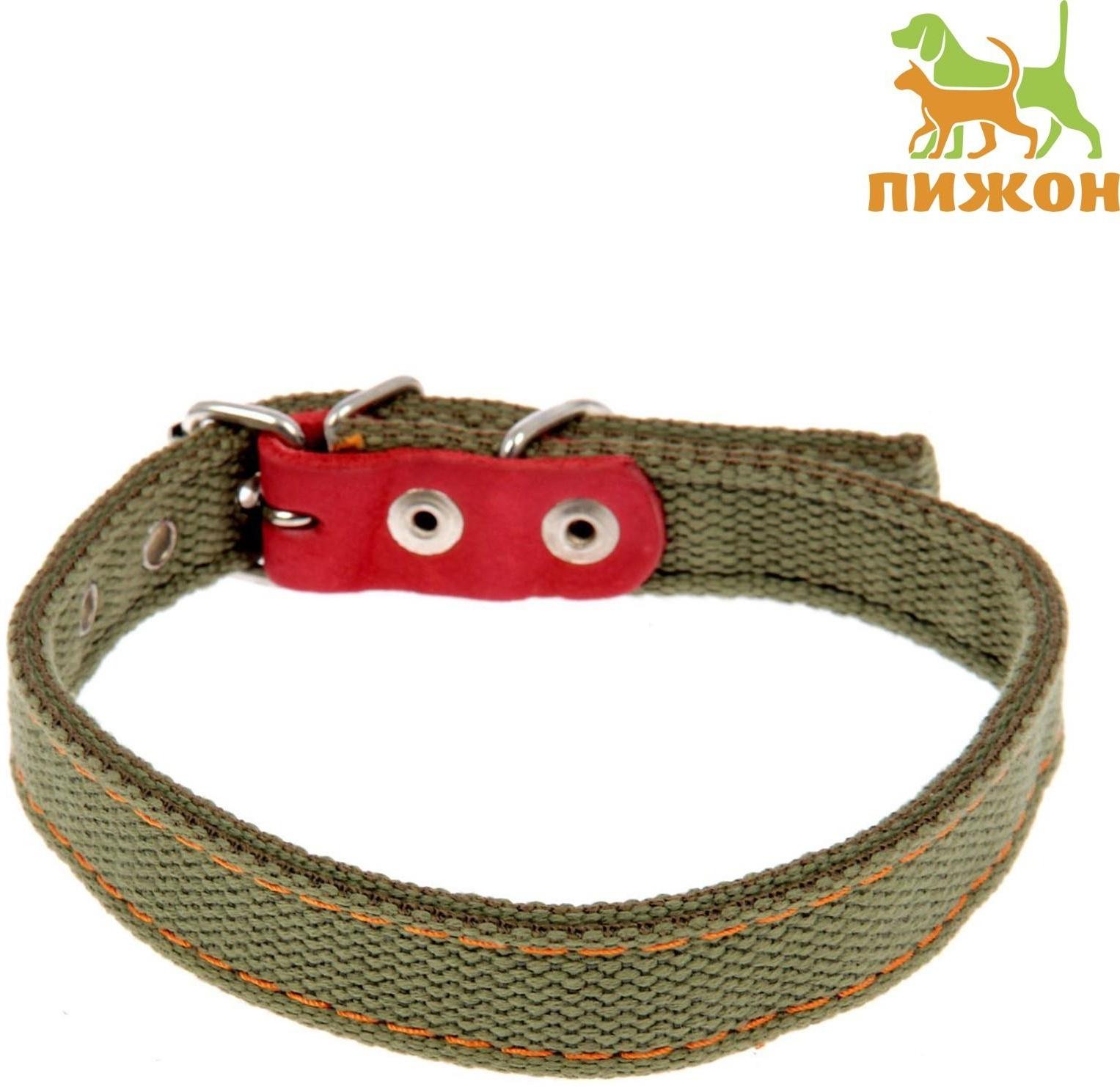 Ошейник брезентовый двухслойный, 50 х 2 см, ОШ 25-35 см, хаки