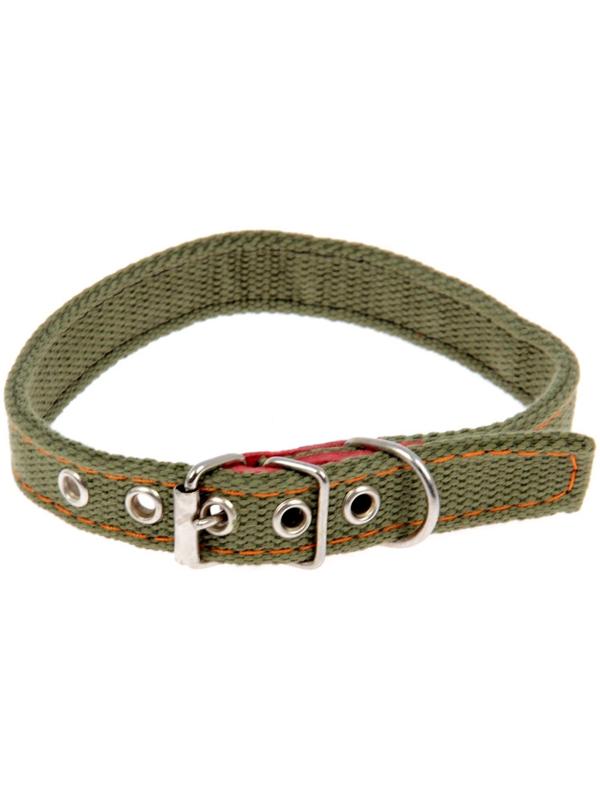 Ошейник брезентовый двухслойный, 50 х 2 см, ОШ 25-35 см, хаки