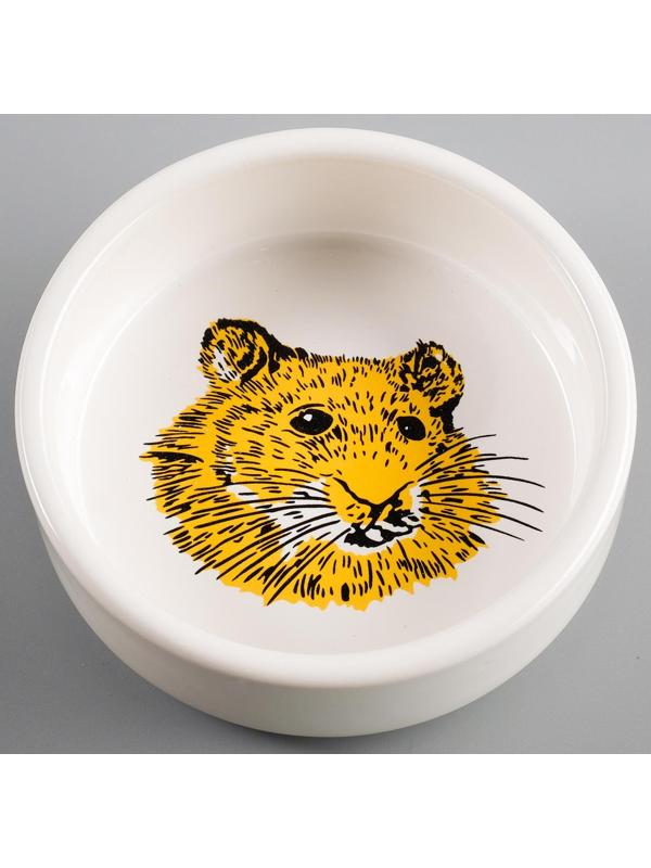 Миска керамическая для грызунов «Сытая мордочка», 8,5 х 3 см, 80 мл