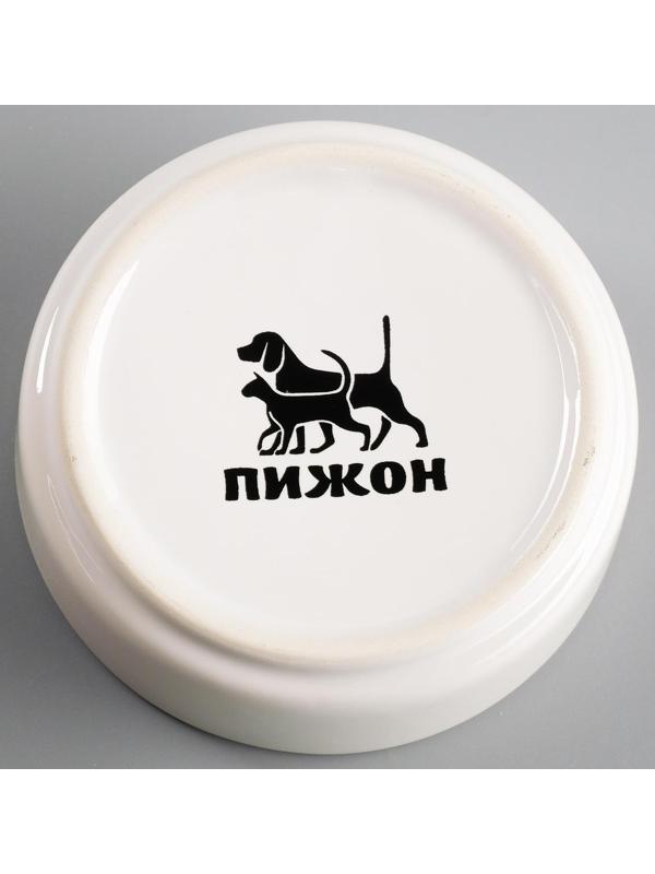 Миска керамическая для грызунов «Сытая мордочка», 8,5 х 3 см, 80 мл