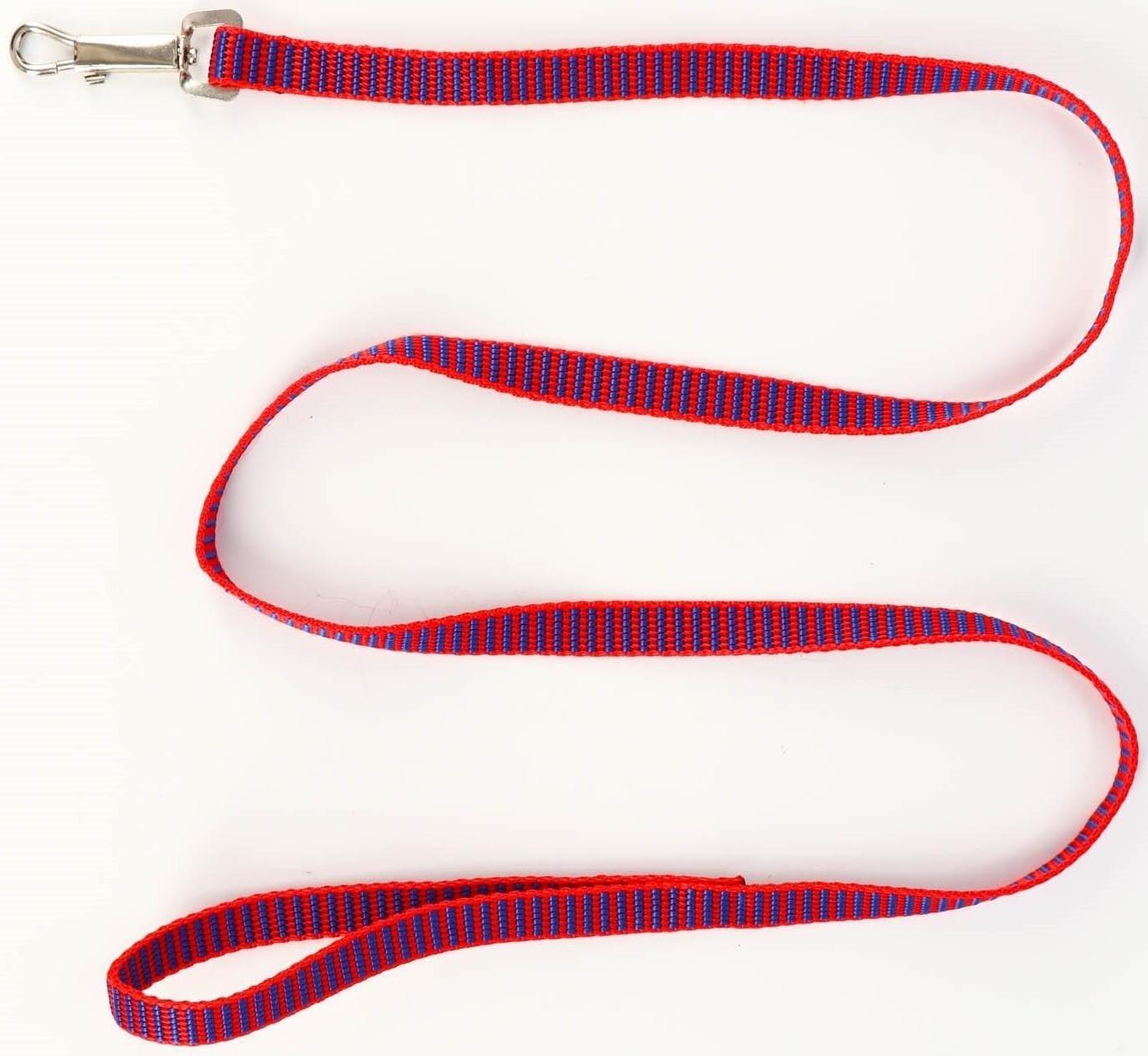 Комплект амуниции рельефный, 1,5 см, шлейка 36-49 см, поводок 120 см, красно-синий