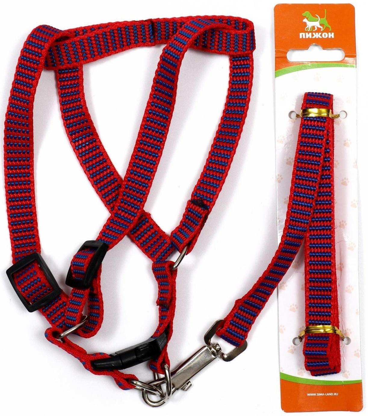 Комплект амуниции рельефный, 1,5 см, шлейка 36-49 см, поводок 120 см, красно-синий