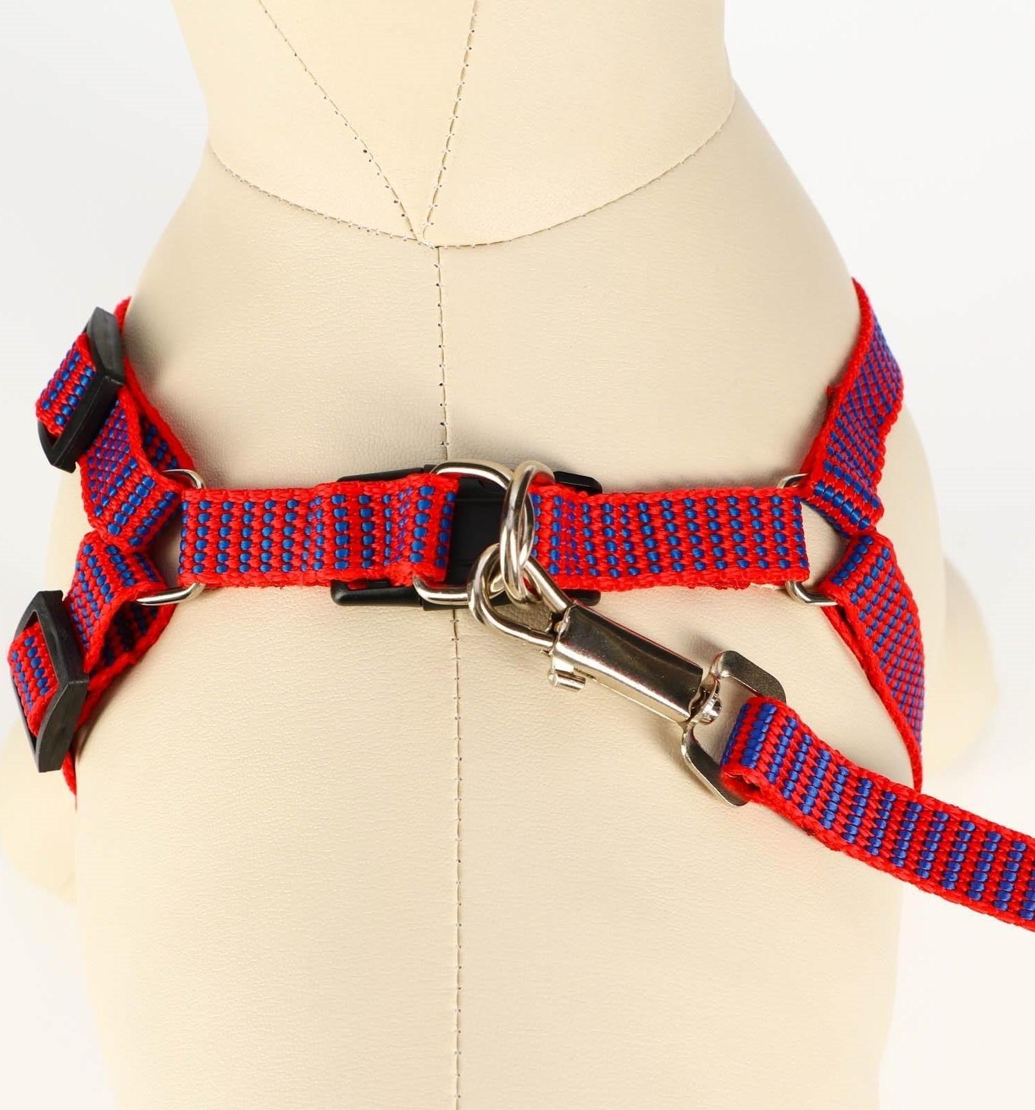 Комплект амуниции рельефный, 1,5 см, шлейка 36-49 см, поводок 120 см, красно-синий