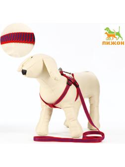 Комплект амуниции рельефный, 1,5 см, шлейка 36-49 см, поводок 120 см, красно-синий