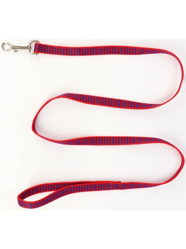 Комплект амуниции рельефный, 1,5 см, шлейка 36-49 см, поводок 120 см, красно-синий
