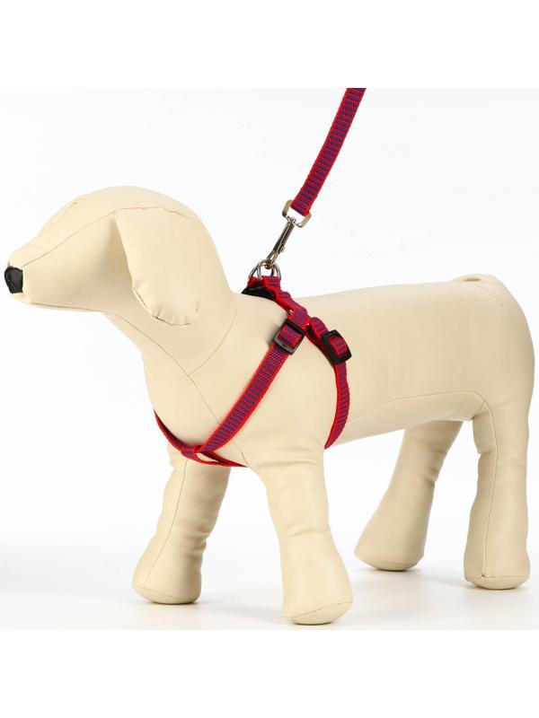 Комплект амуниции рельефный, 1,5 см, шлейка 36-49 см, поводок 120 см, красно-синий