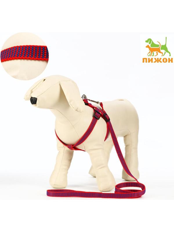 Комплект амуниции рельефный, 1,5 см, шлейка 36-49 см, поводок 120 см, красно-синий