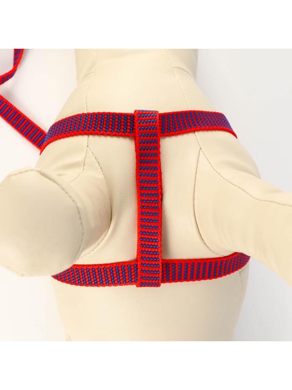 Комплект амуниции рельефный, 1,5 см, шлейка 36-49 см, поводок 120 см, красно-синий