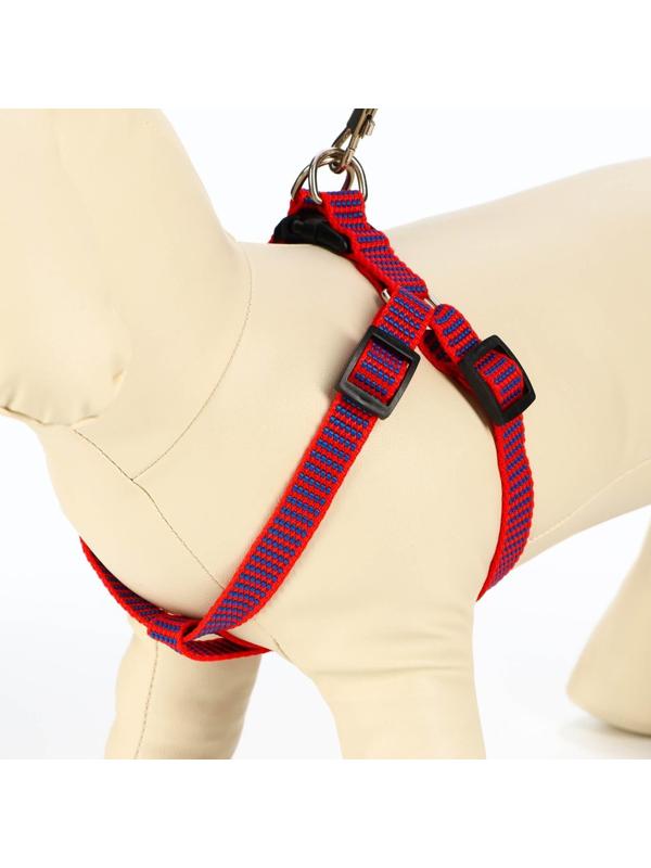 Комплект амуниции рельефный, 1,5 см, шлейка 36-49 см, поводок 120 см, красно-синий