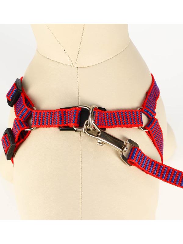 Комплект амуниции рельефный, 1,5 см, шлейка 36-49 см, поводок 120 см, красно-синий