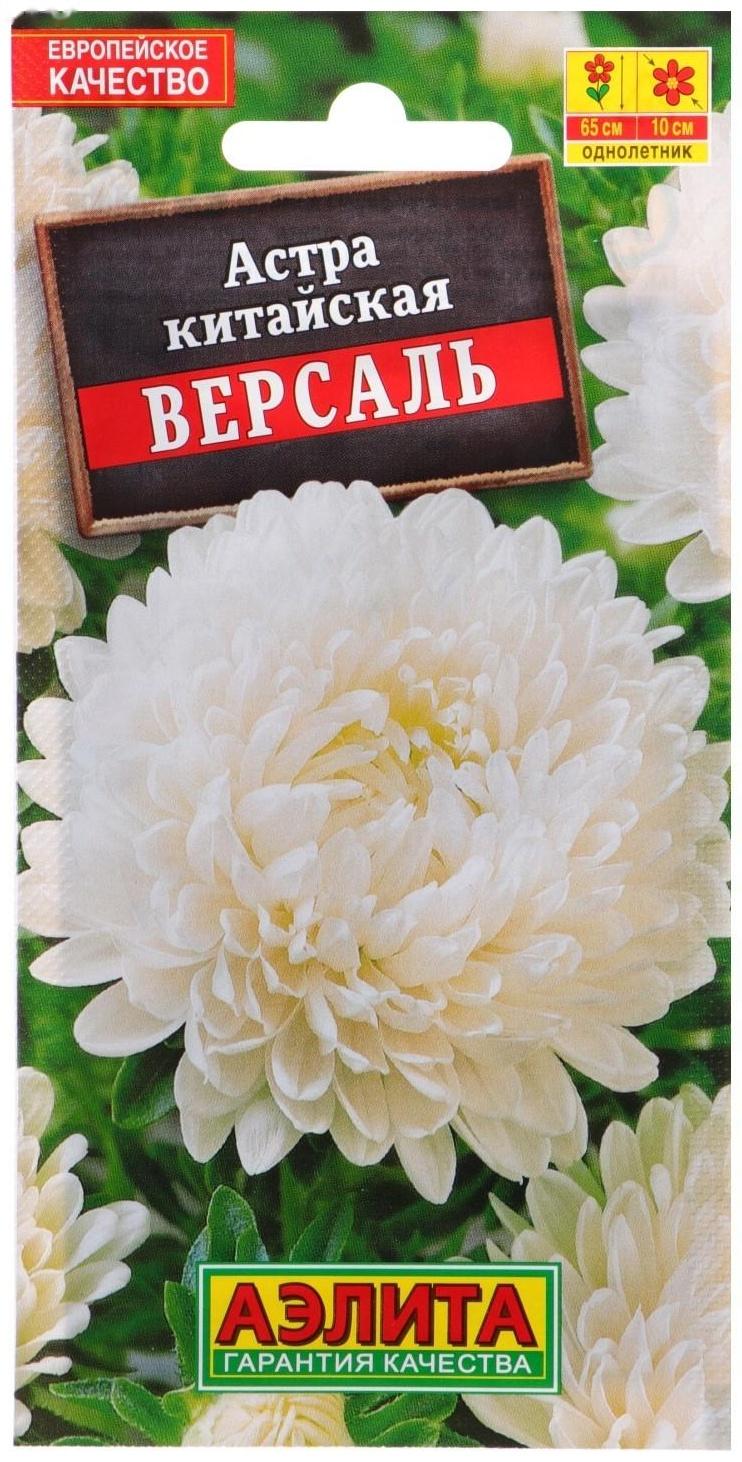 Семена цветов Астра 