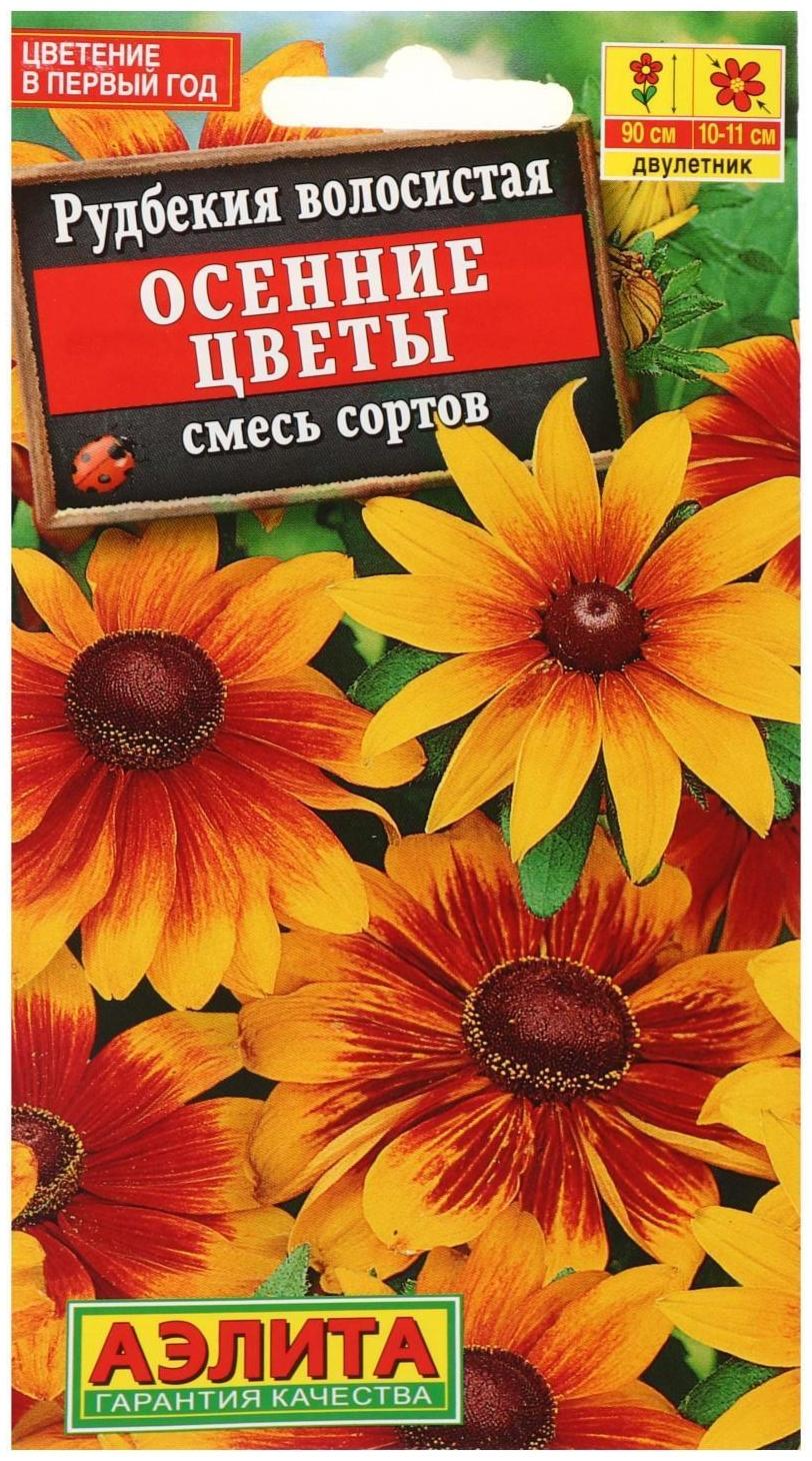Семена цветов Рудбекия 