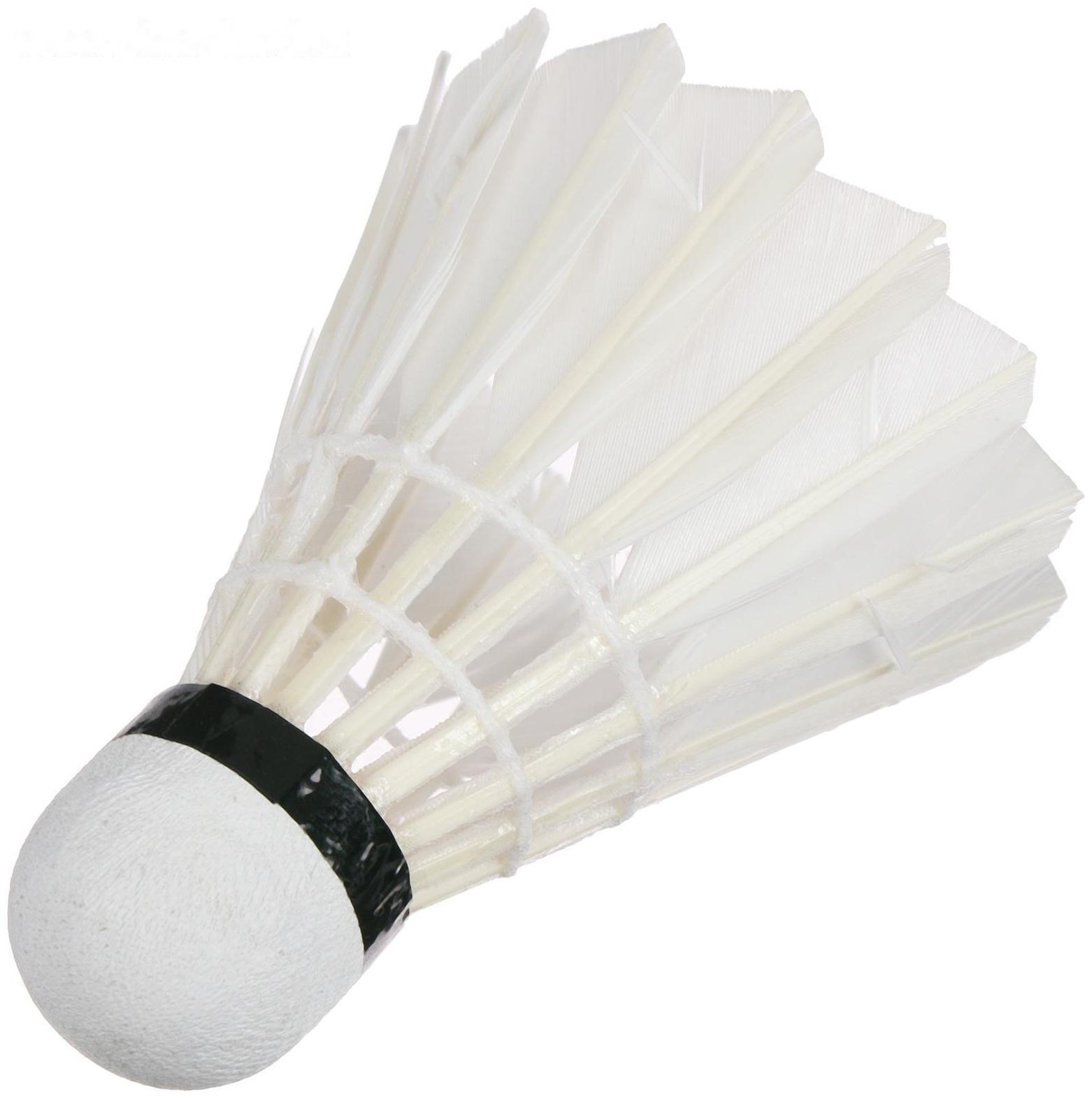 Воланы для бадминтона, перо, в тубе, набор 12 штук, цвет белый