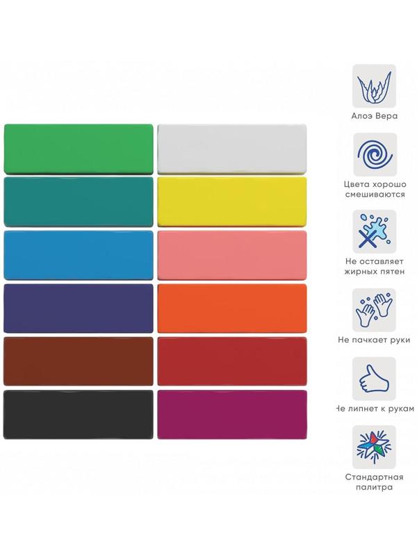 Пластилин мягкий (восковой), 12 цветов, 240 г, ErichKrause ArtBerry премиум, с Алоэ Вера, со стеком, картон, с европодвесом