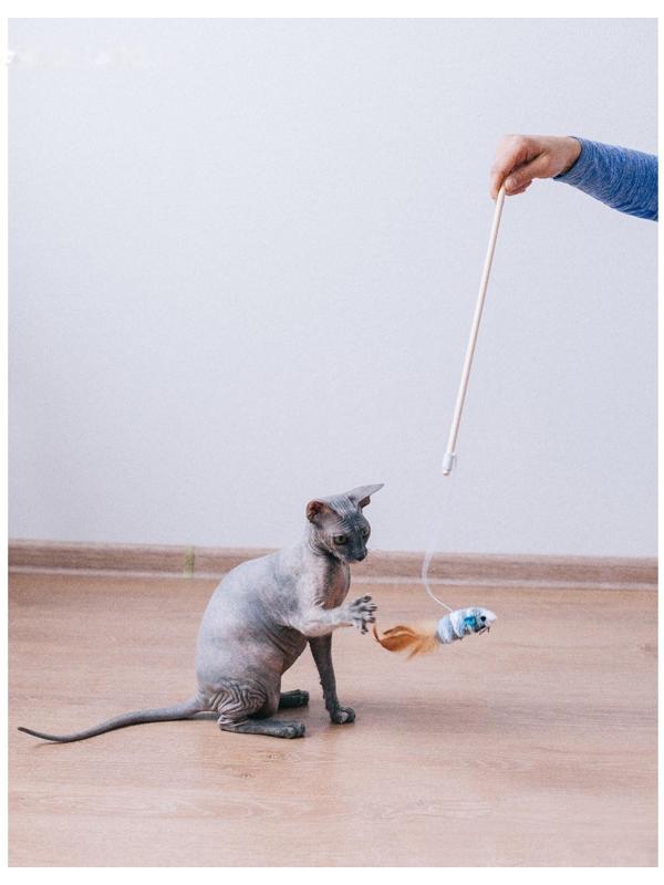 Дразнилка с махровой мышкой (7 см) на деревянной палочке, 40 см, микс цветов