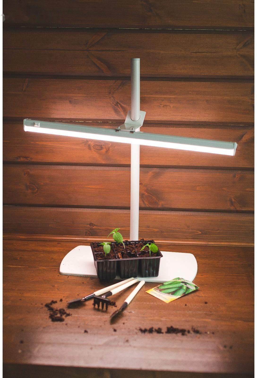 Кассета для рассады, 6 ячеек по 120 мл, набор 10 шт., Greengo