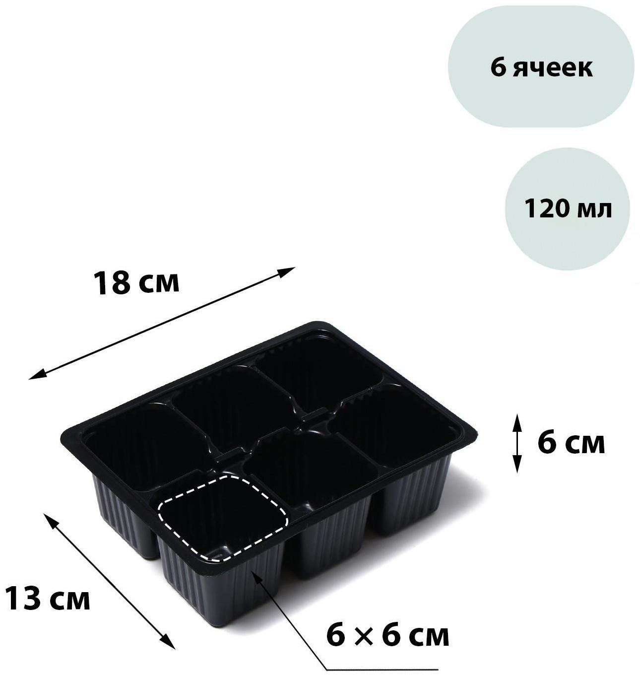 Кассета для рассады, 6 ячеек по 120 мл, набор 10 шт., Greengo