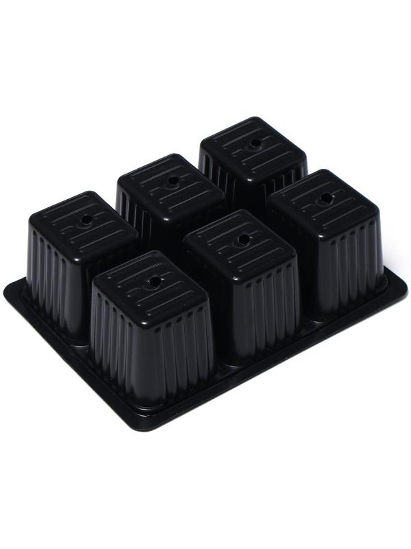 Кассета для рассады, 6 ячеек по 120 мл, набор 10 шт., Greengo