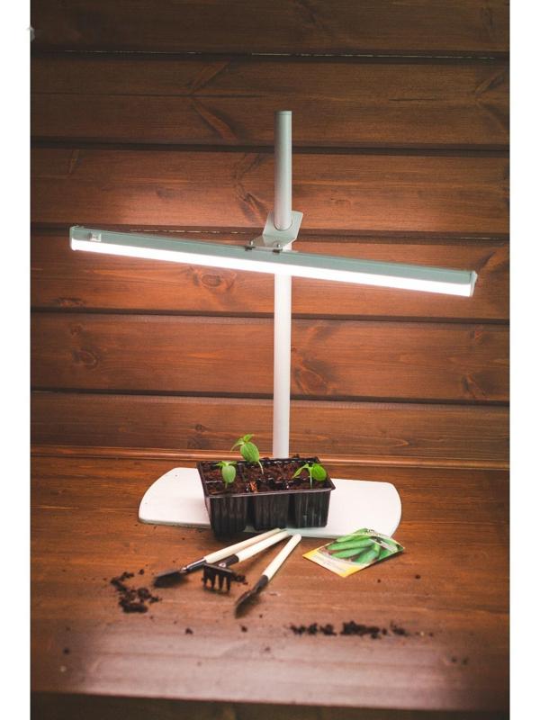 Кассета для рассады, 6 ячеек по 120 мл, набор 10 шт., Greengo