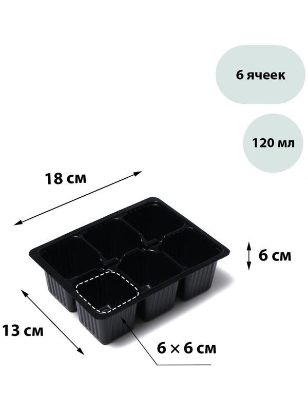 Кассета для рассады, 6 ячеек по 120 мл, набор 10 шт., Greengo