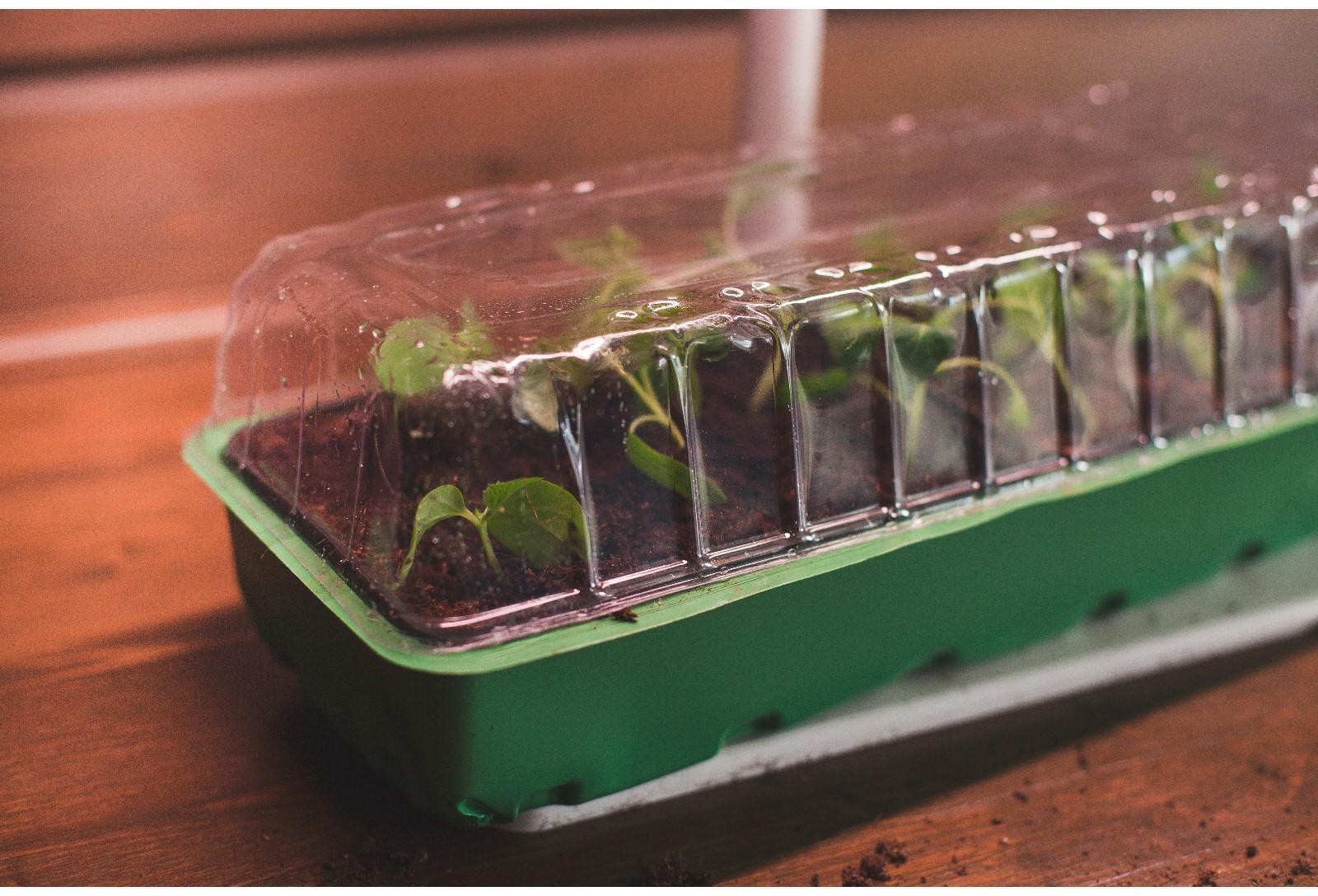 Мини-парник для рассады, 57 × 18 × 14,5 см, 3 вставки, 18 ячеек, Greengo