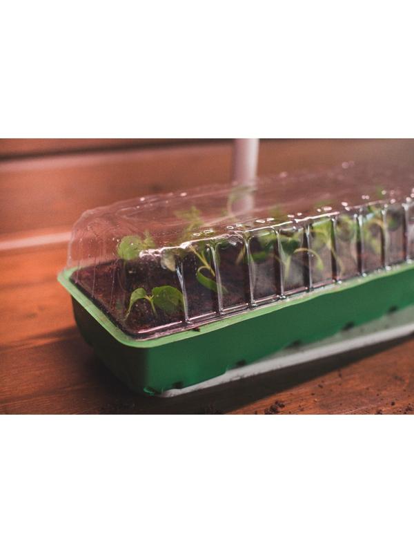 Мини-парник для рассады, 57 × 18 × 14,5 см, 3 вставки, 18 ячеек, Greengo