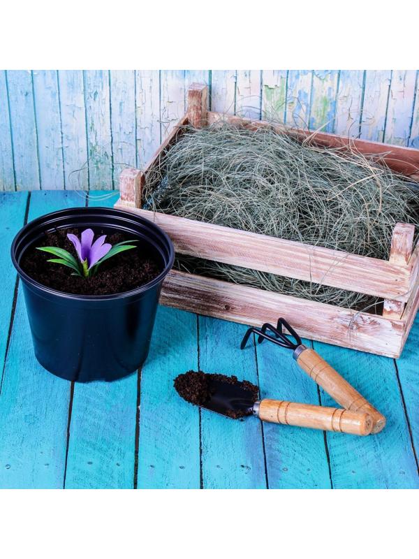 Горшок для рассады, 1 л, d = 13 см, h = 10,5 см, чёрный, Greengo