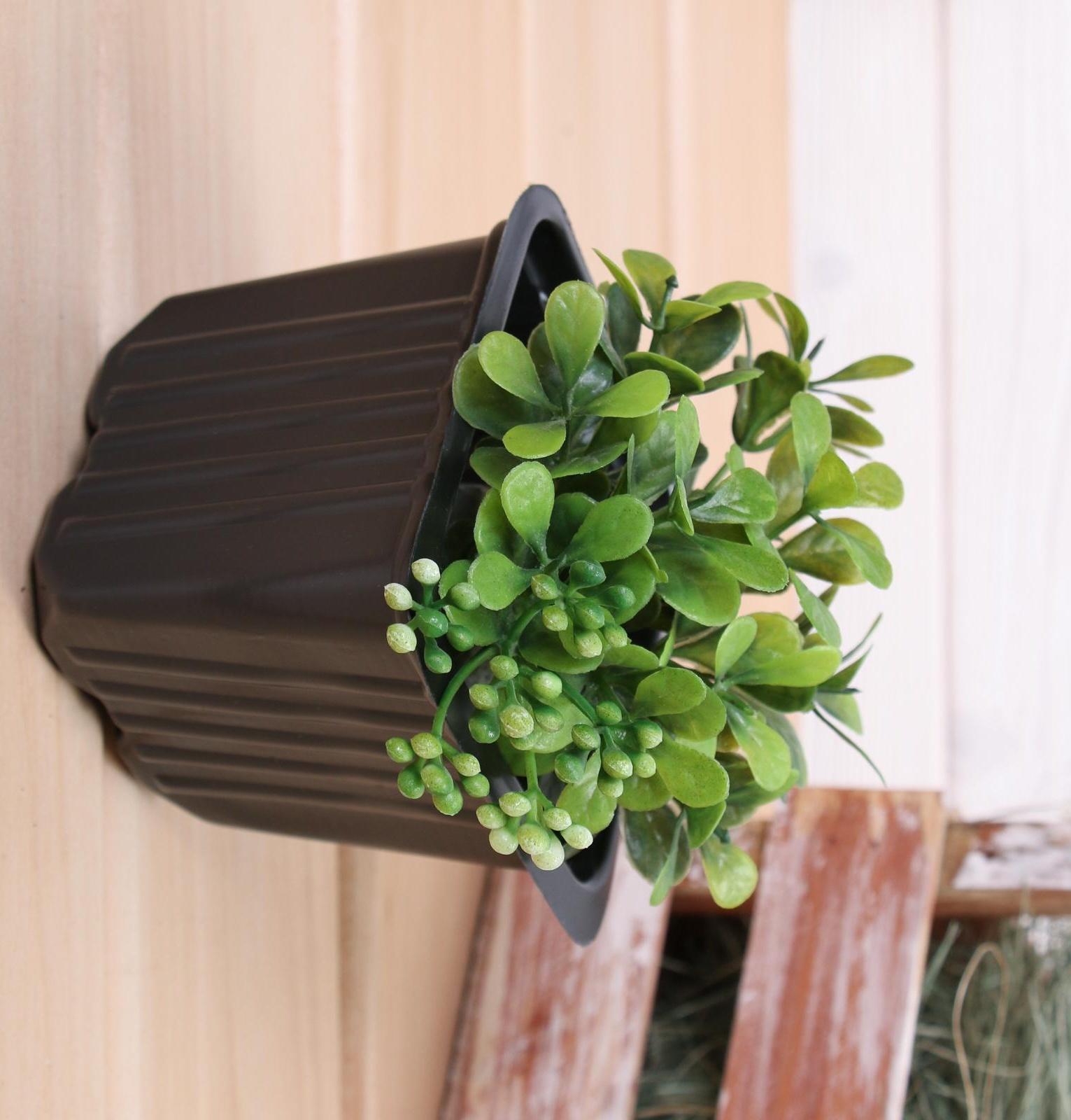 Горшок для рассады, 520 мл, d = 9 см, h = 8 см, чёрный, Greengo