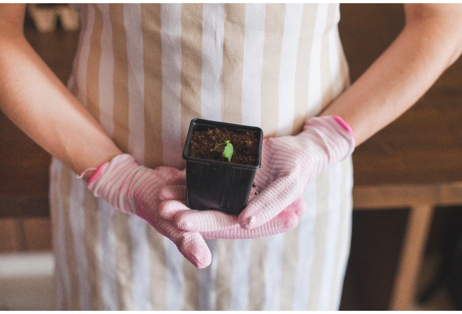 Горшок для рассады, 180 мл, d = 7 см, h = 6 см, чёрный, Greengo