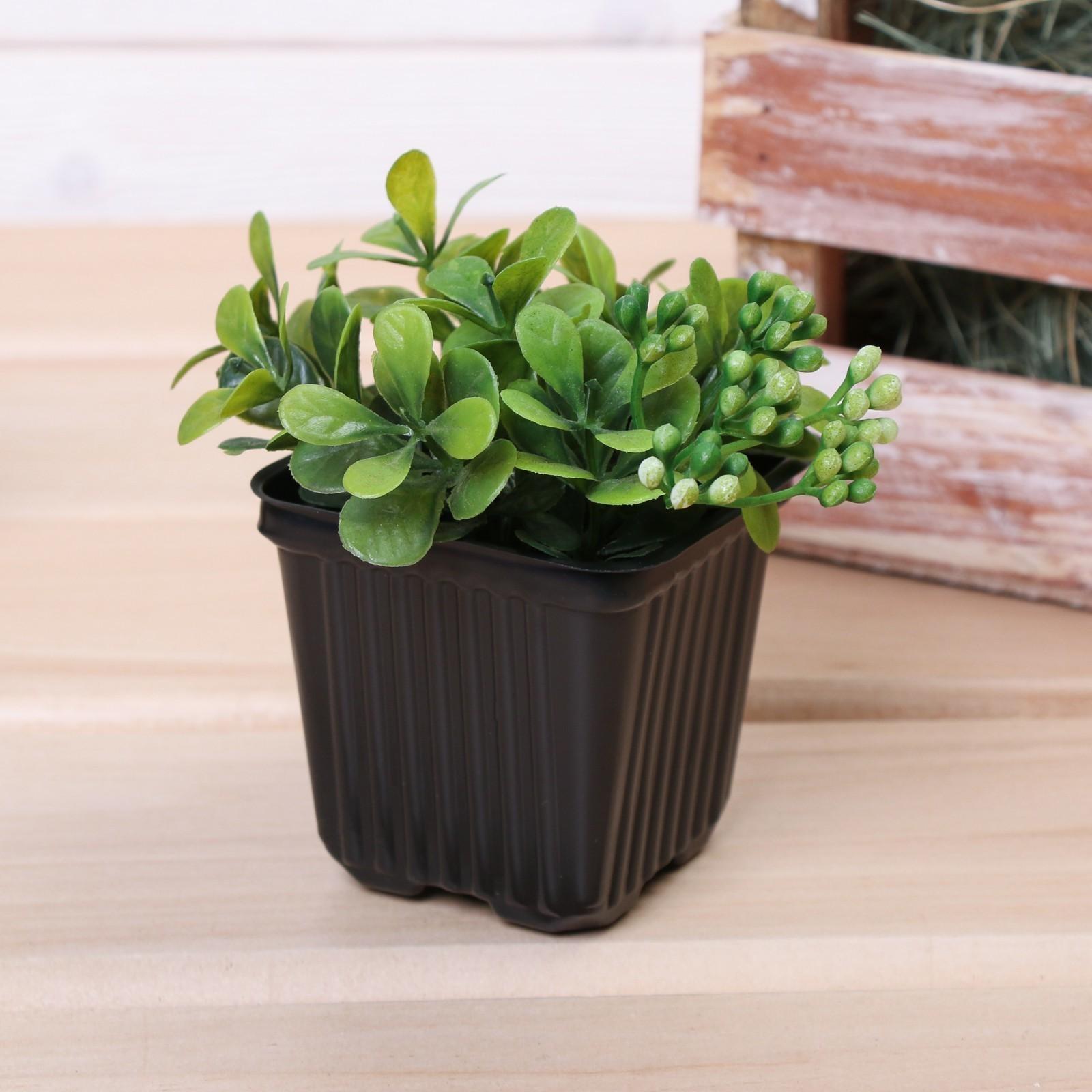 Горшок для рассады, 180 мл, d = 7 см, h = 6 см, чёрный, Greengo