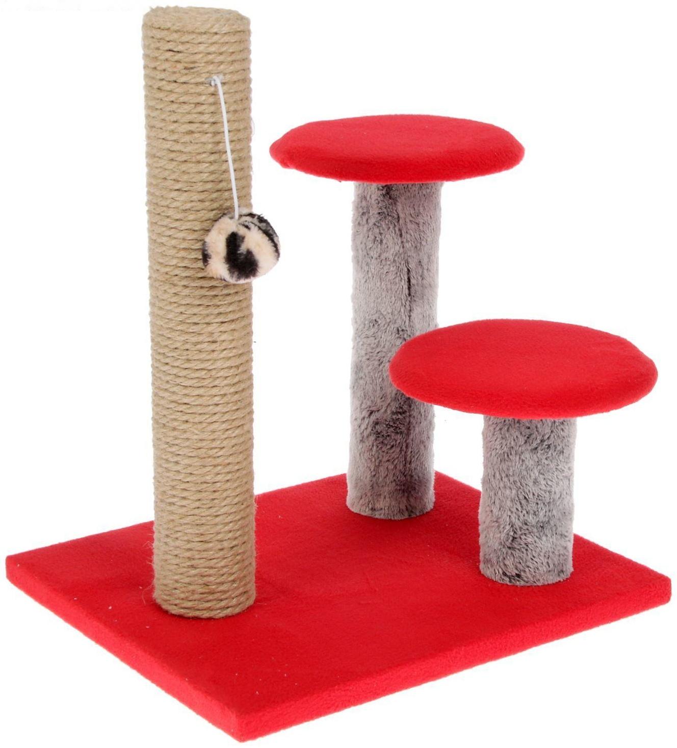 Когтеточка 