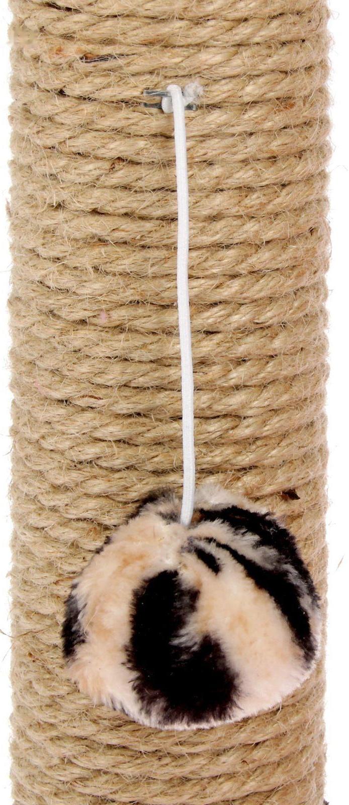 Когтеточка 