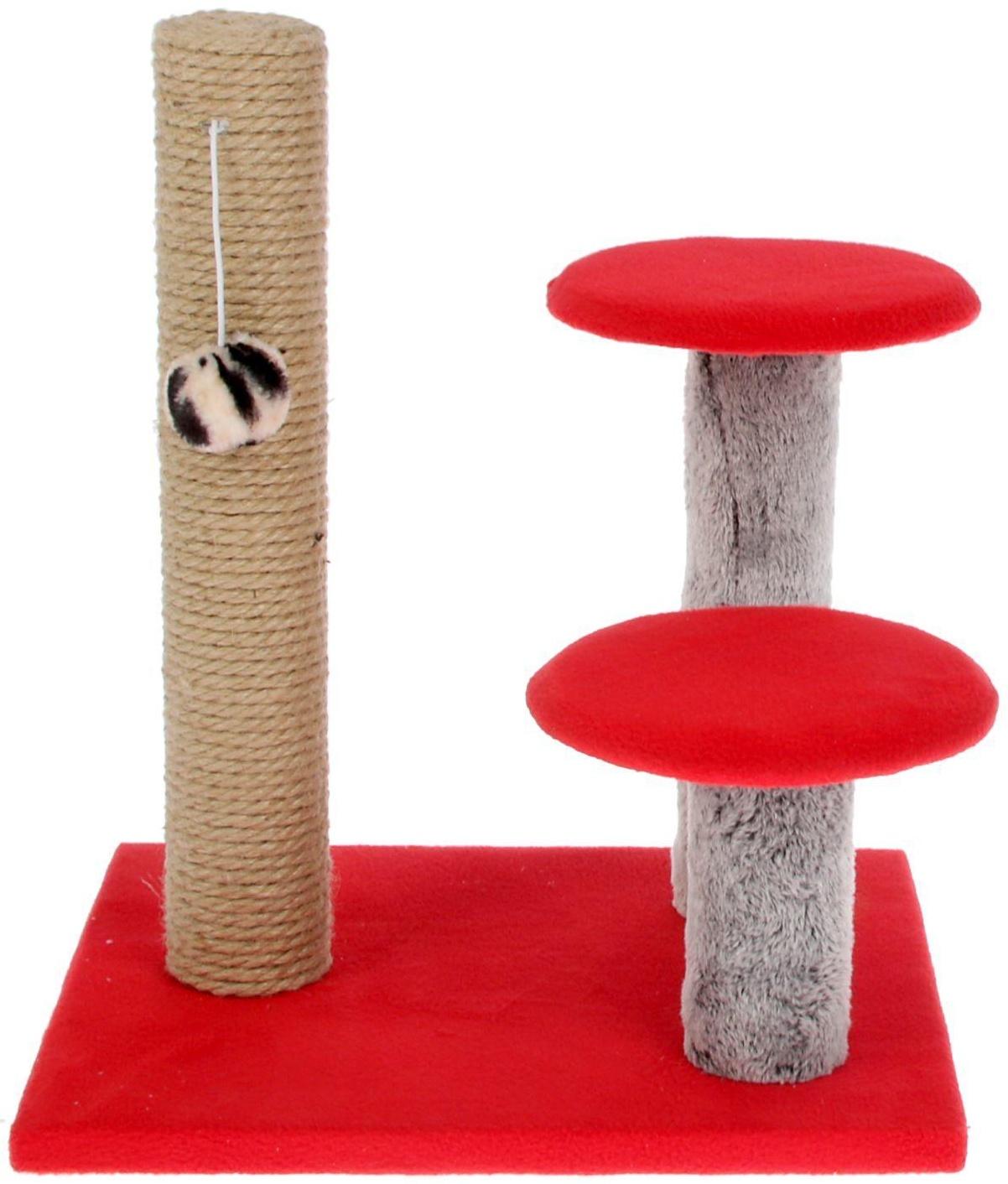 Когтеточка 