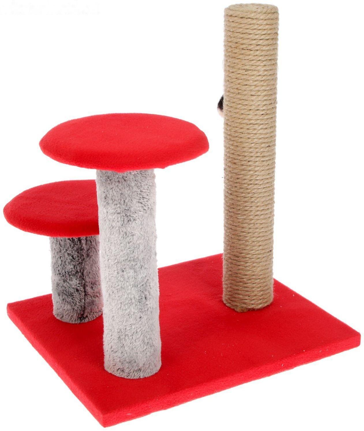 Когтеточка 