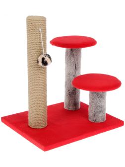 Когтеточка 