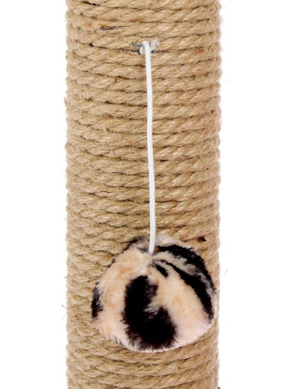 Когтеточка 