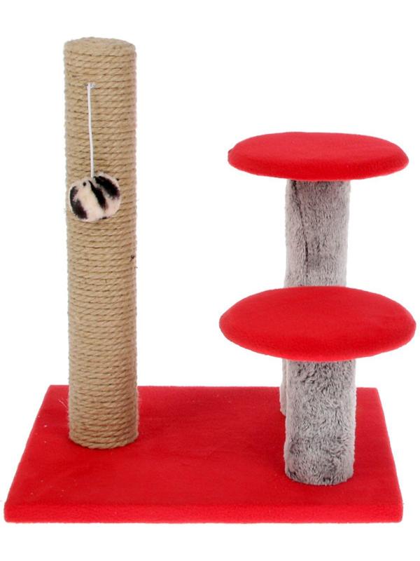 Когтеточка 