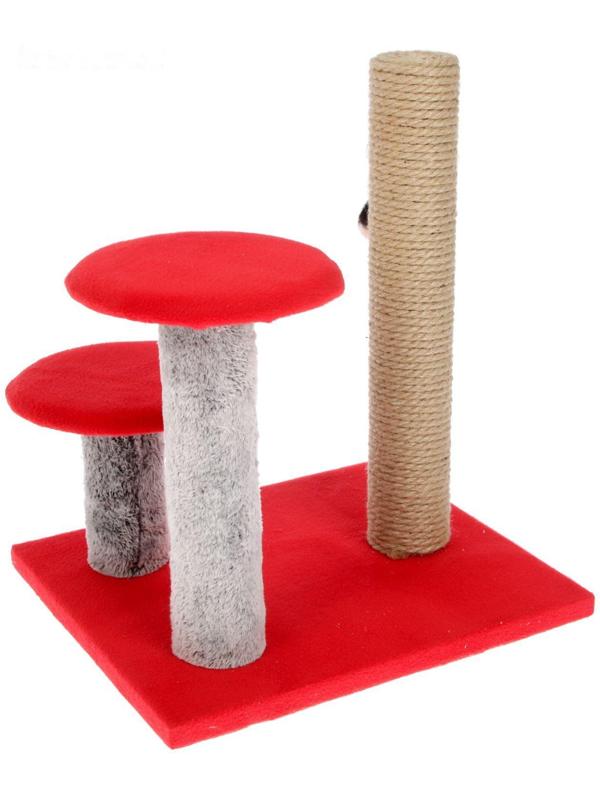 Когтеточка 