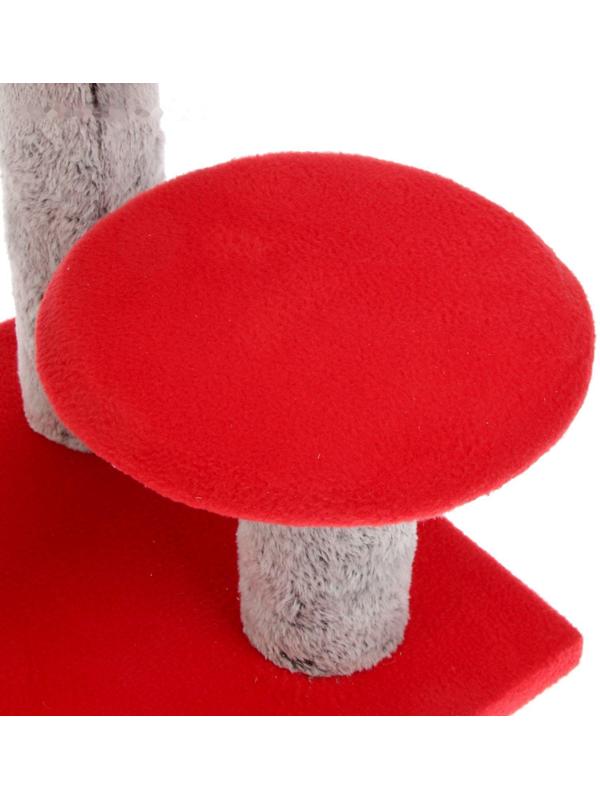 Когтеточка 