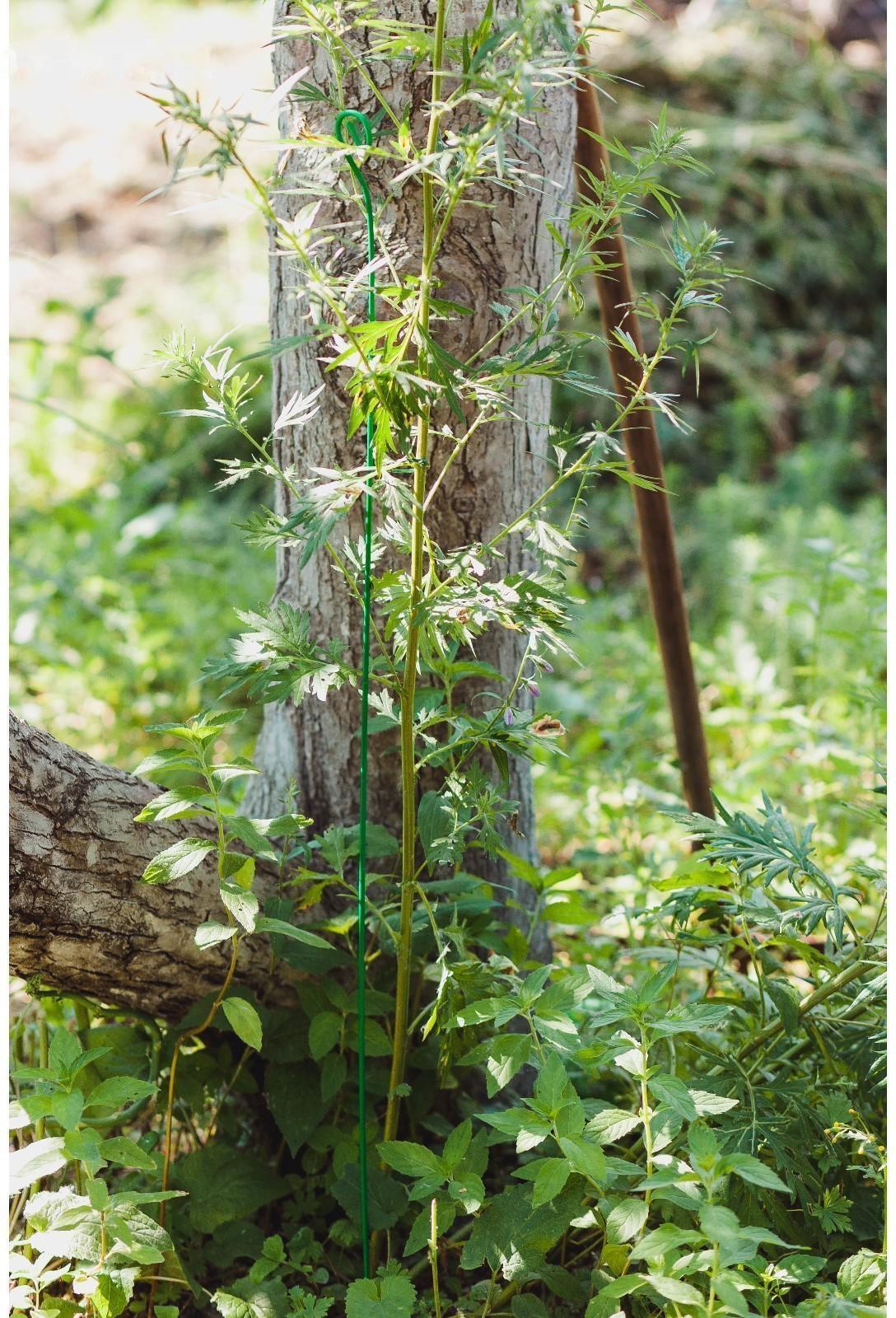 Колышек для подвязки растений, h = 60 см, d = 0.3 см, проволочный, зелёный, Greengo