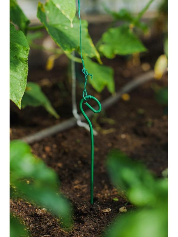 Колышек для подвязки растений, h = 80 см, d = 0.3 см, проволочный, зелёный, Greengo