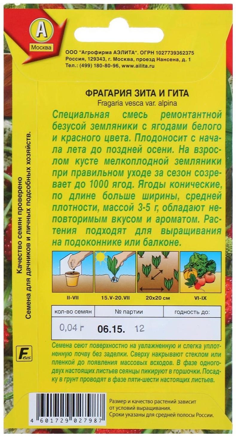 Семена Земляника 