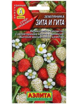 Семена Земляника 