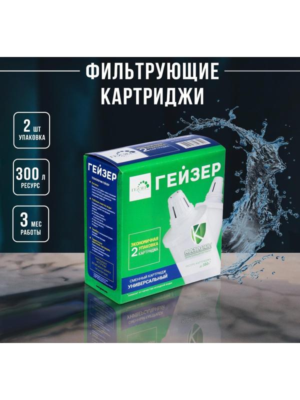 Набор сменных фильтрующих картриджей 501, 2 шт