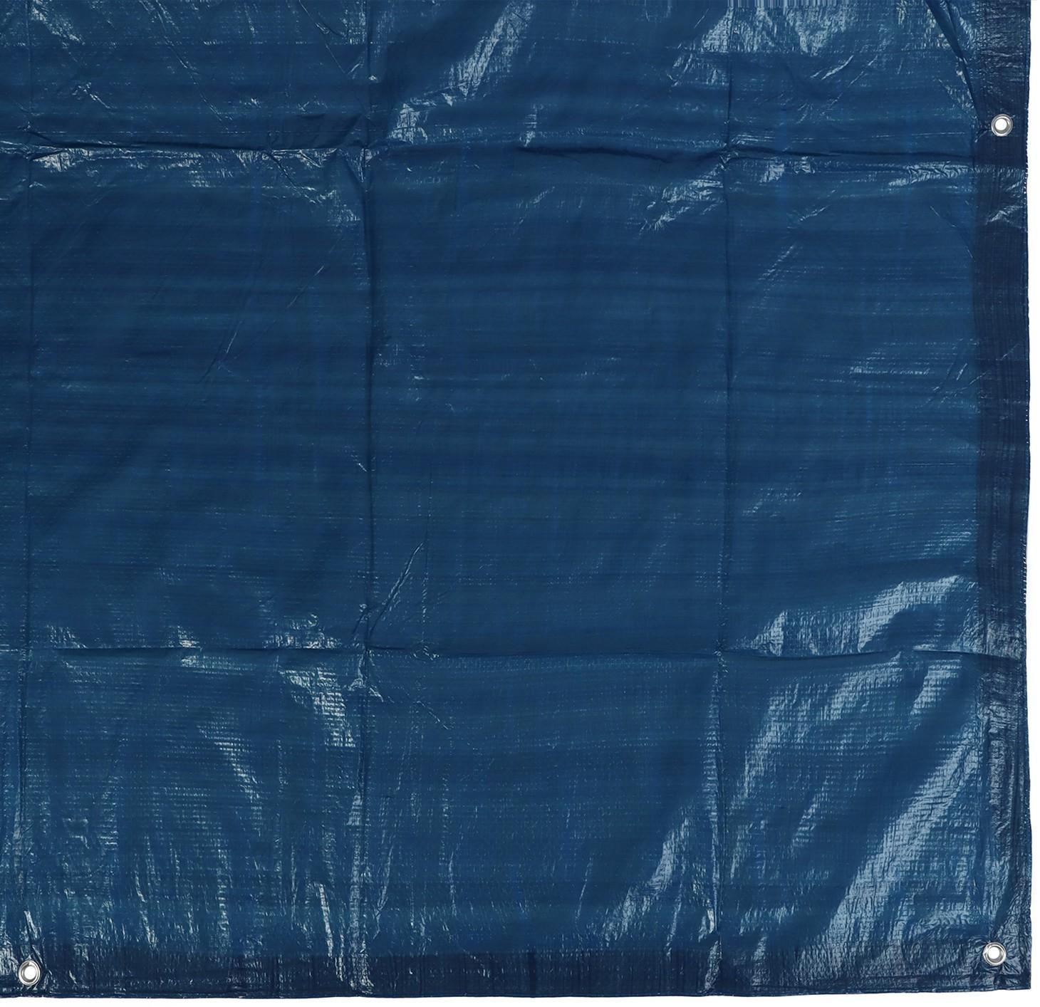 Тент защитный, 3 × 2 м, плотность 60 г/м², люверсы шаг 1 м, синий