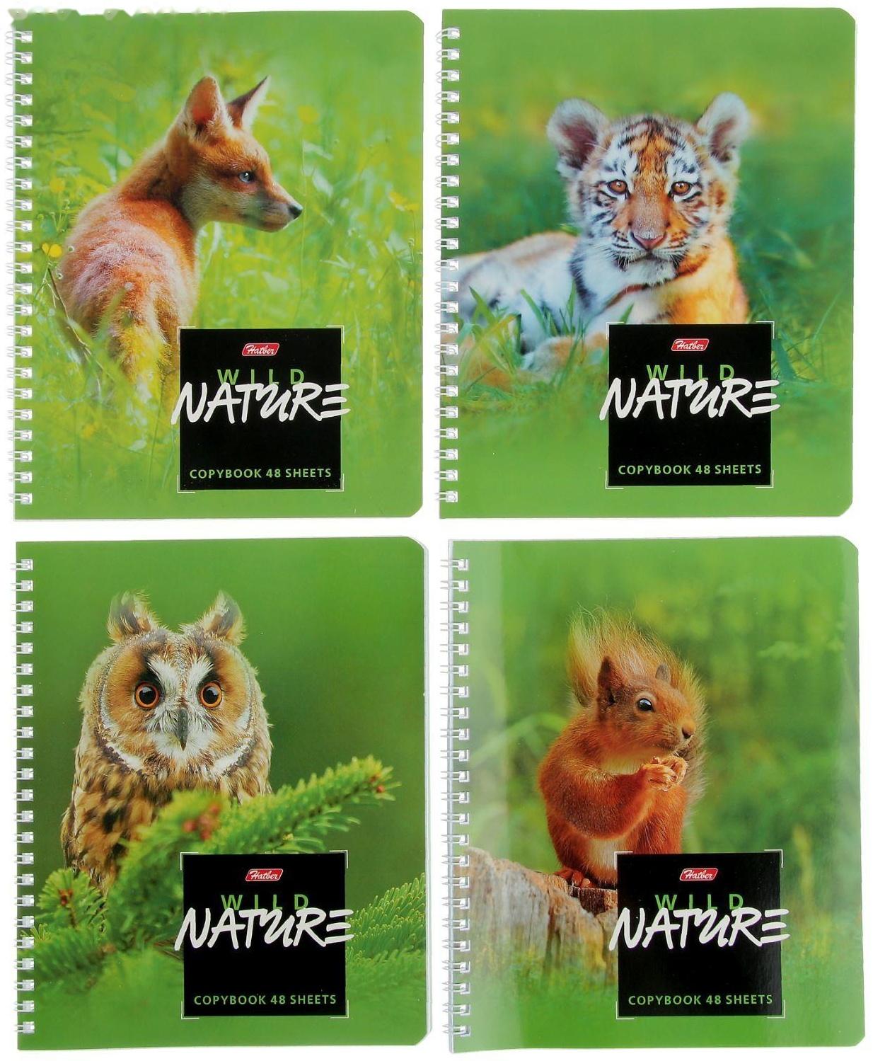 Тетрадь 48 листов клетка на гребне Wild Nature, картонная обложка / Микс 1 шт.