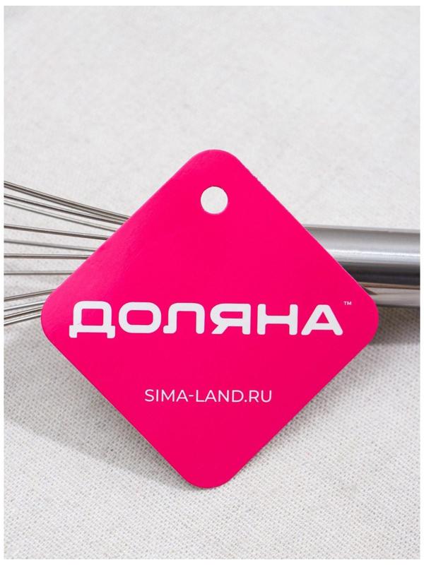 Венчик для взбивания Доляна «Стандарт», 25 см, цвет серебряный