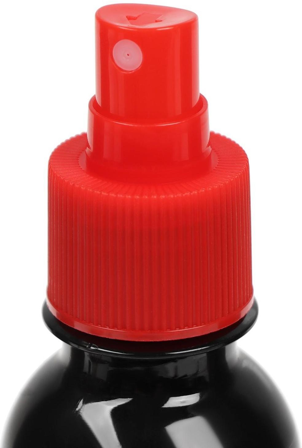 Полироль пластика  For Every Day, Фентези, с антистатиком матовый, 200 мл, спрей